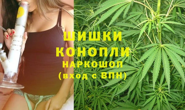 скорость Гусев
