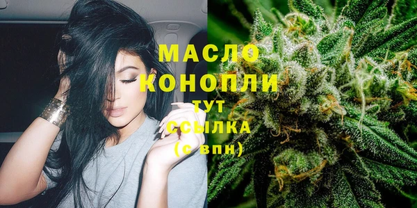 скорость Гусев
